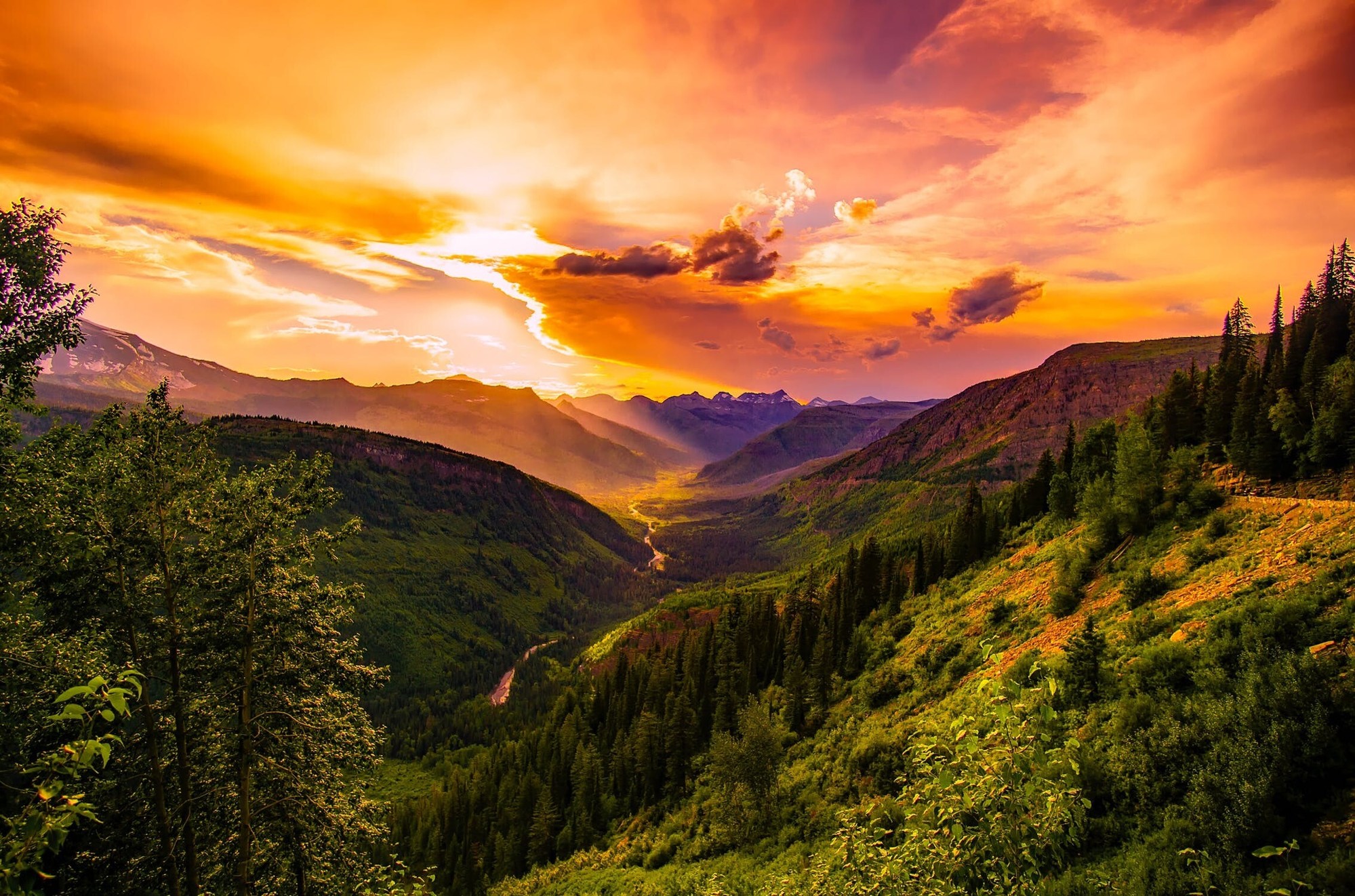 Above the Treeline