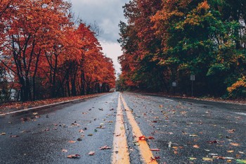 The Autumn Road